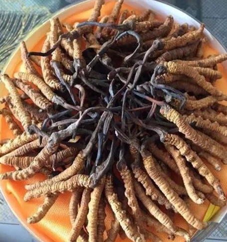 洋酒瓶环保回收的再利用