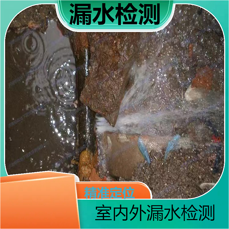 文章插图