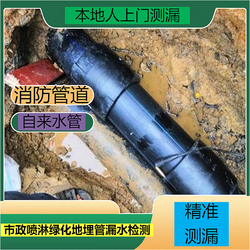 文章插图