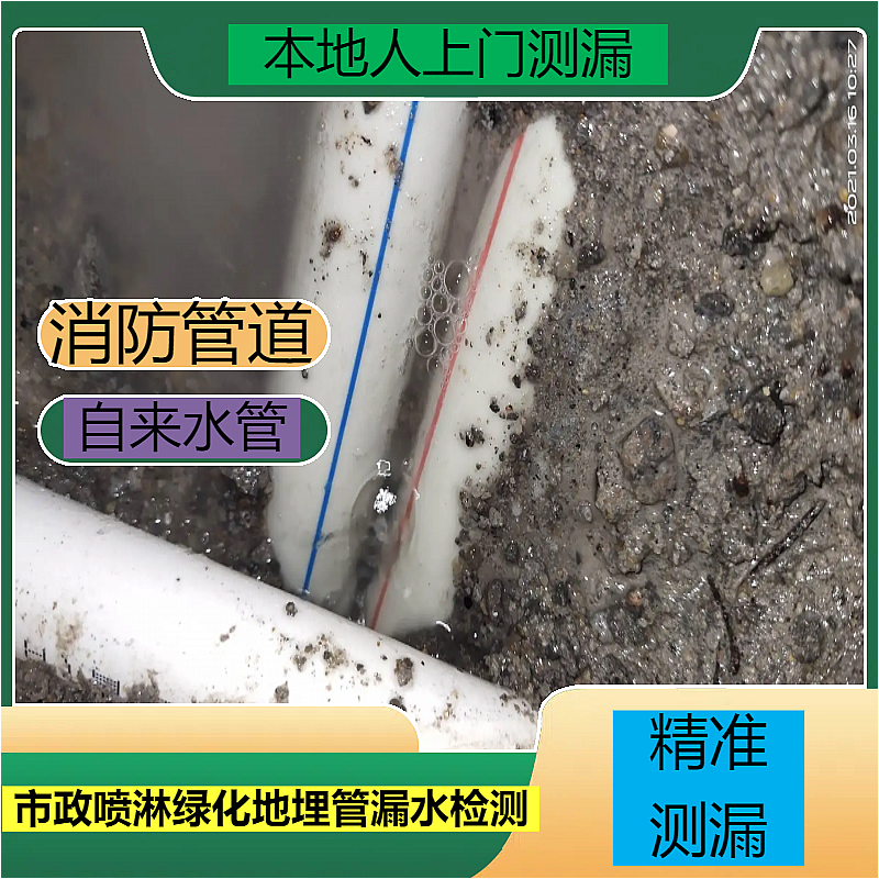 文章插图