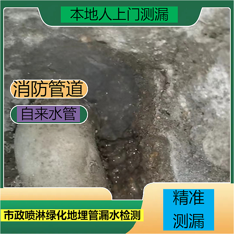 文章插图