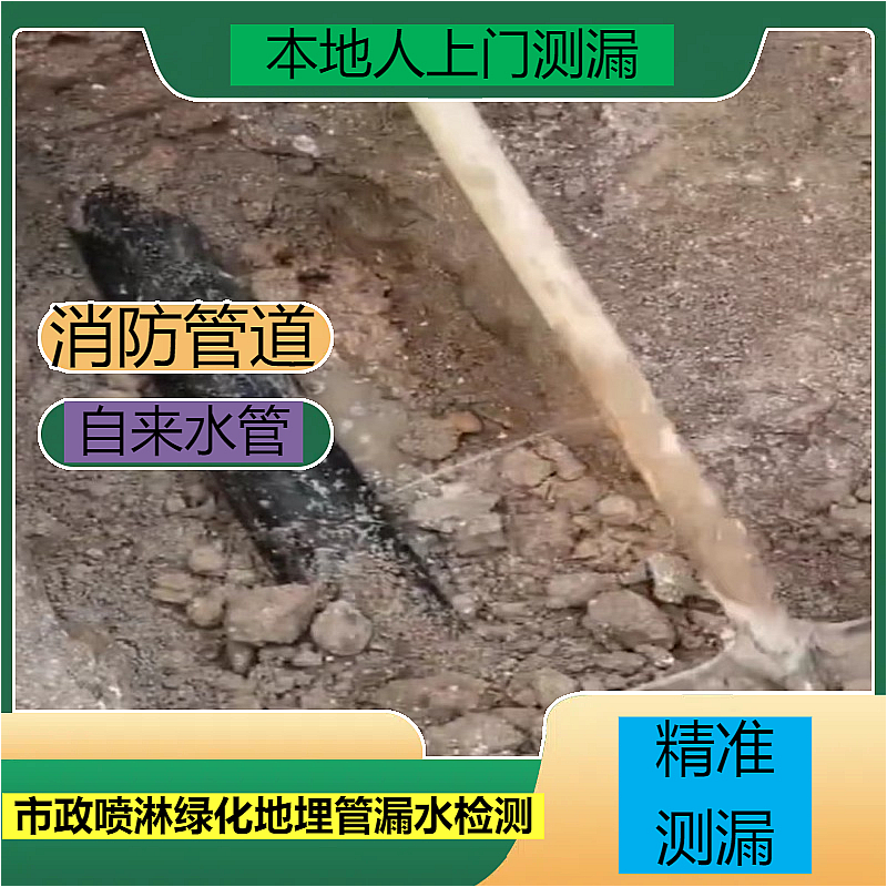 文章插图