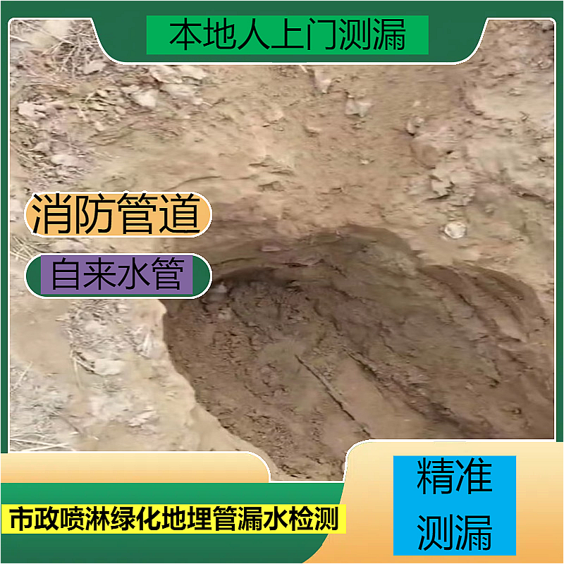 文章插图