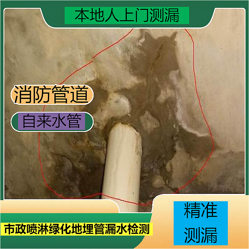 文章插图