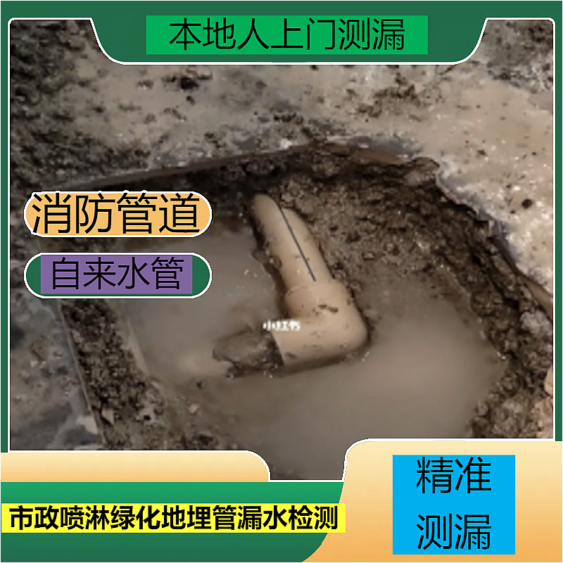 文章插图