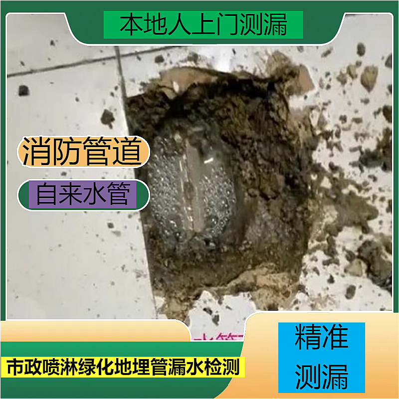 文章插图