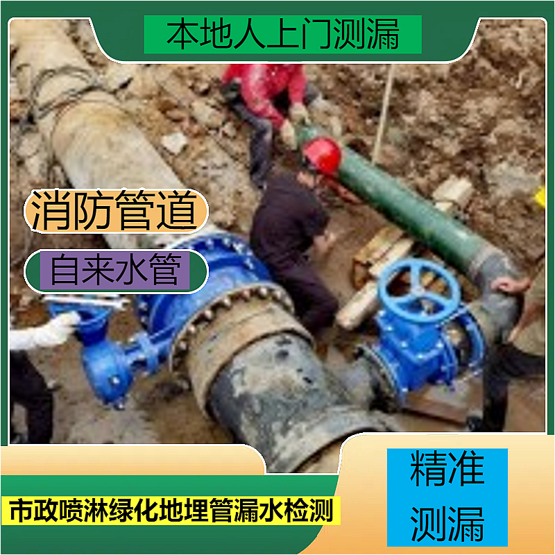 文章插图