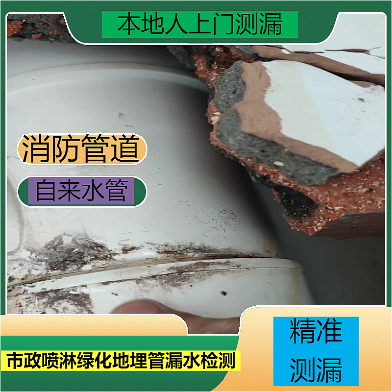 文章插图