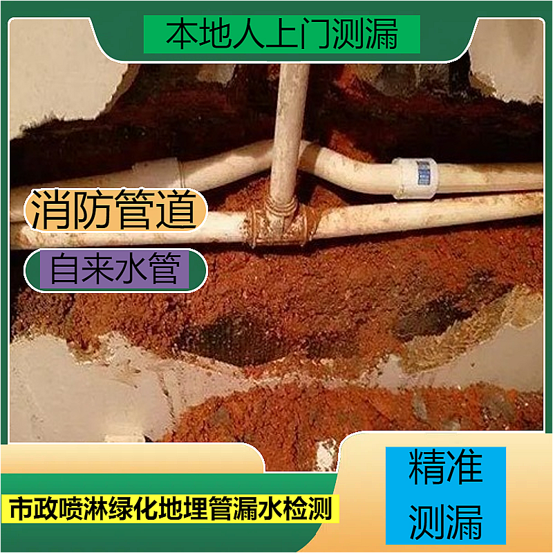 文章插图
