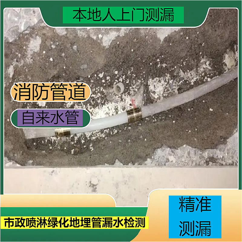 文章插图