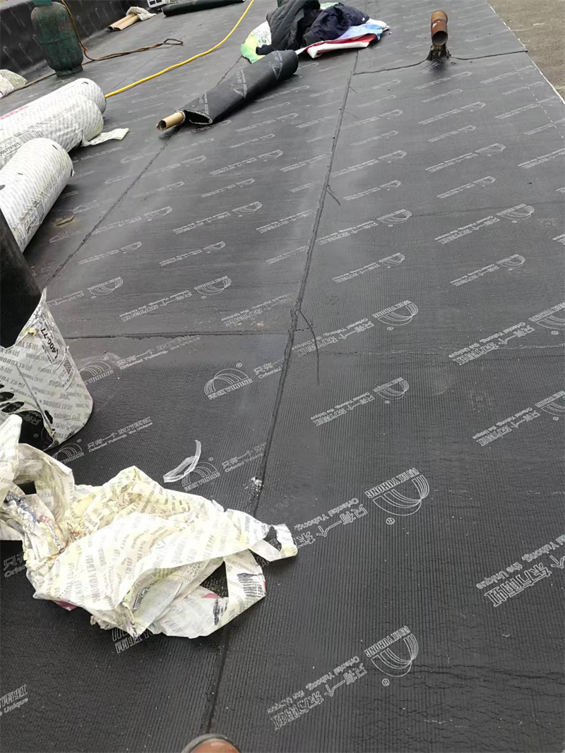 文章插图