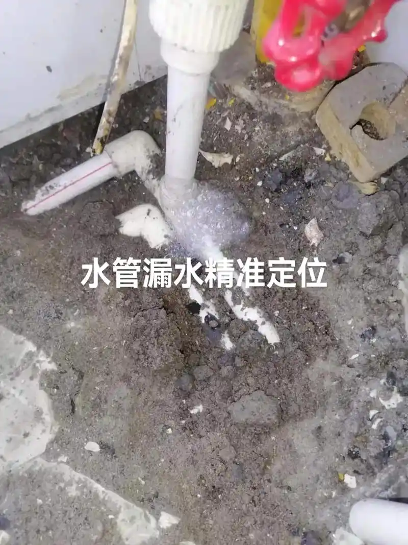 文章插图